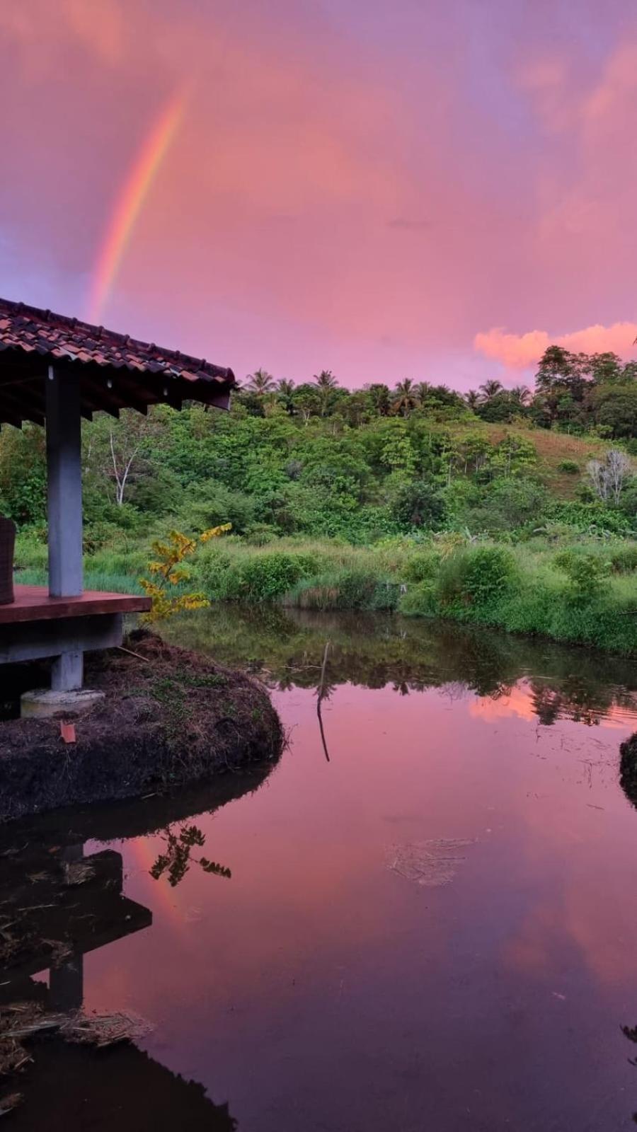 Laluna Eco Resort Pvt Ltd Beruwala Exterior foto